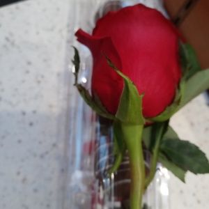 Meet your Posher, Angela